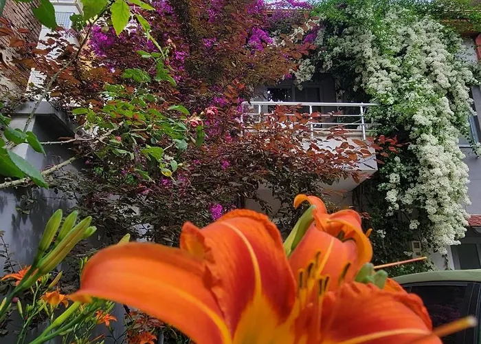 Apartmán A Cheerful With Free Parking Space